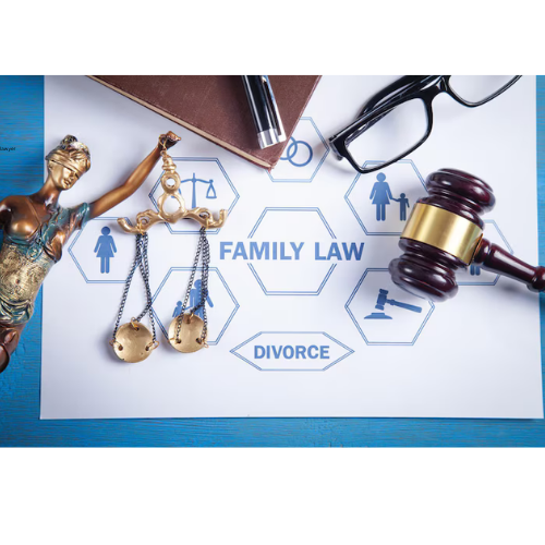 Pro Bono Family Law 